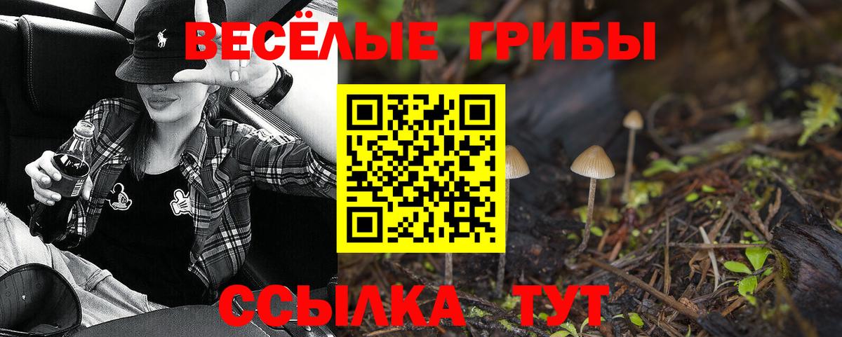 Псилоцибиновые грибы мухоморы Михайловка